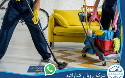 شركة تنظيف فلل ومنازل مجالس مكافحة حشرات خصم 35 %