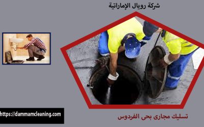 شركة نفخ مجارى بحى الفردوس