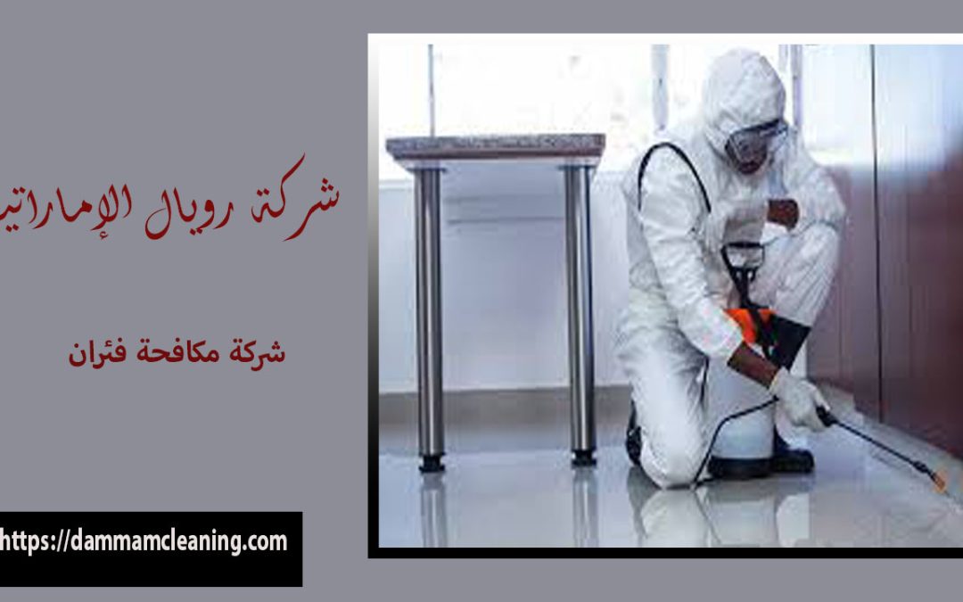 شركة مكافحة فئران بحى الفردوس
