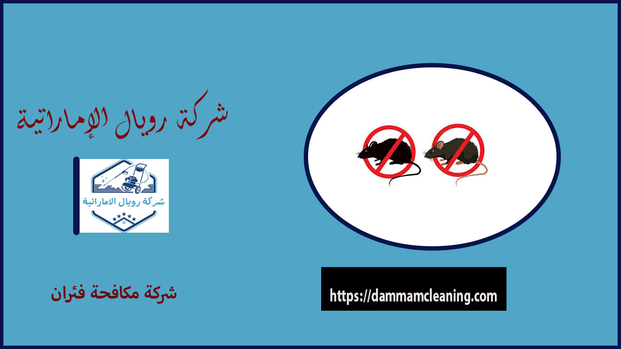 شركة مكافحة فئران بحى الفردوس 